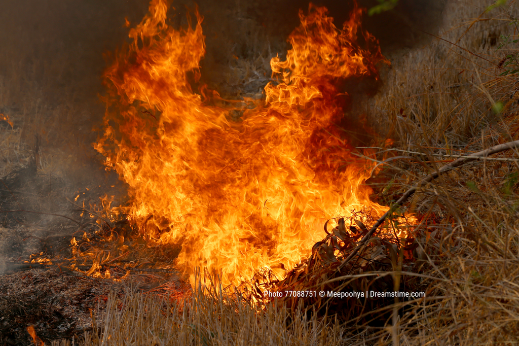 Wildfires Affected by Hyperpolarization